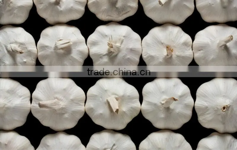 Automatic Garlic Breaking Machine|Hot Sale Garlic Clove Splitting Machine