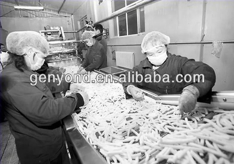 Automatic Frozen Fruit & Vegetable Processing Line