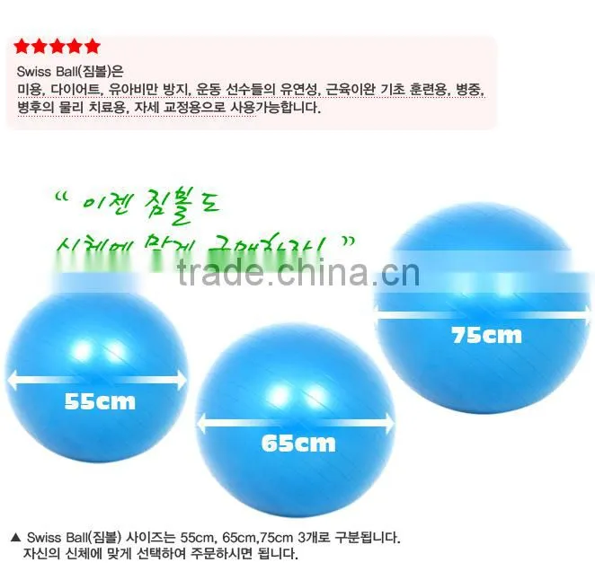 Gym Ball Swiss Ball/ Gym Equipment/ Rack