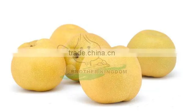 Export New Fresh fengshui Pear /China Delicious Nashi Pear