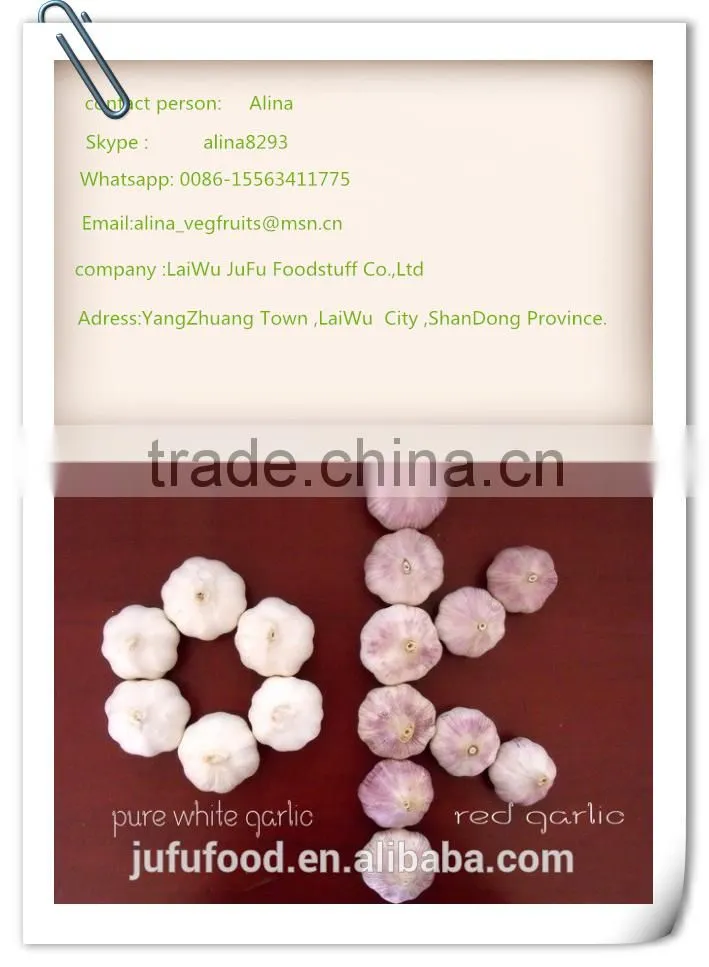 2016 NEW CROP GARLIC