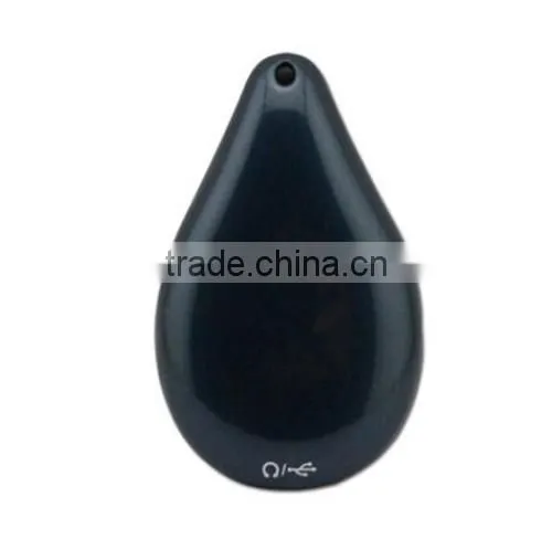 with File encryption Function 8GB Keychain Shaped USB Disk Mini Voice Recorder