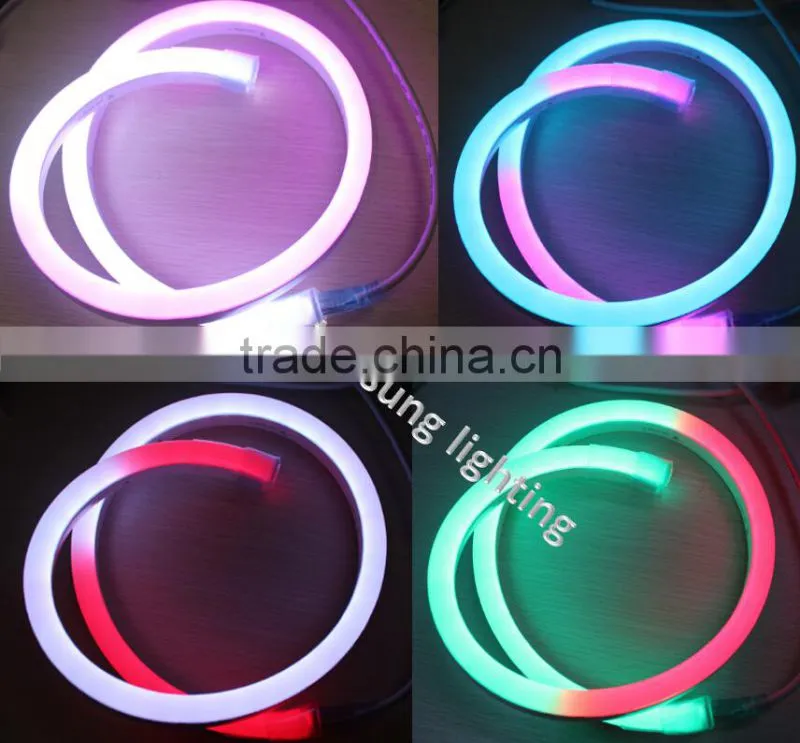garden decoration 14*26mm digital fled led neon light for building