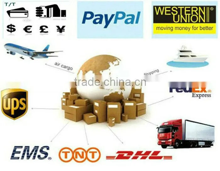 12V Voltage and LED Lamp Type License Plate Light