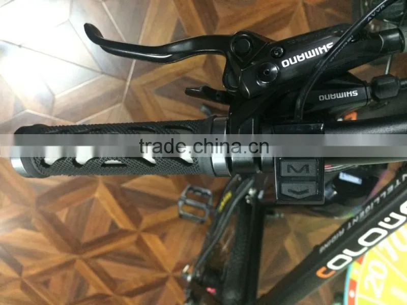 e road electric bike,low price electric bike,electric bike en15194