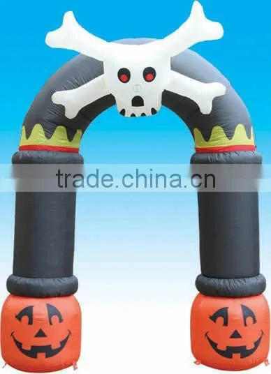 Inflatable door