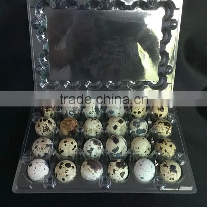 OUCHEN wholesale PVC clear plastic deviled egg carrier quail egg cartons 12 18 20 24 30 holes for sale