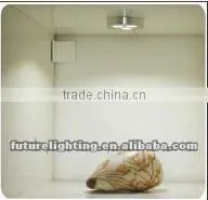 Shenzhen factory direct sell high power energy saving 3W DC12/24V led beautuful puck light