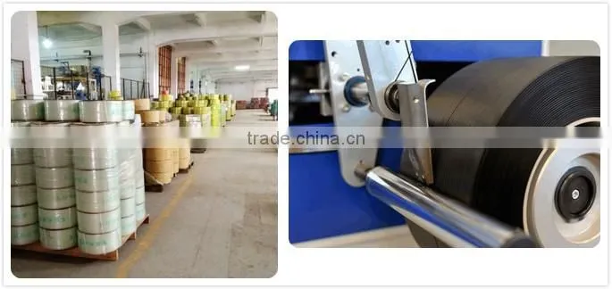 High quality factory price PP strapping Band