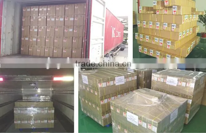 CE approved G24 2pin 4pin led plug light