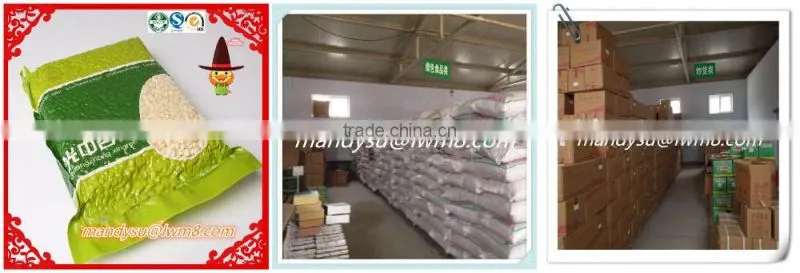 wholesale price roasted apricot kernel