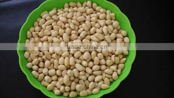 shandong groundnut blanched peanuts