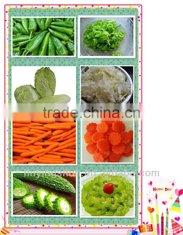 2014 new arrival high technology high quality vegetables and fruits processing machine
