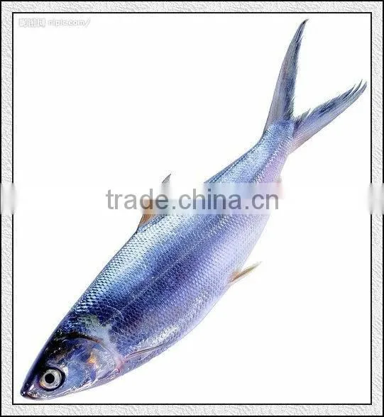 automatic fish scale peeling machine