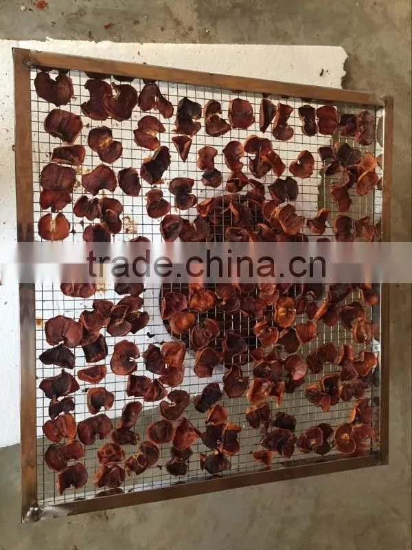 Hot sale galss window door beef, meat and vegetable, fruit drying oven, electric drying oven