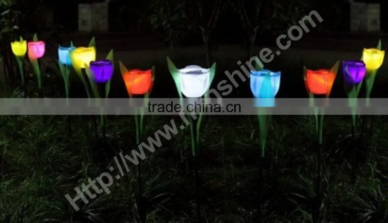 tulip solar light