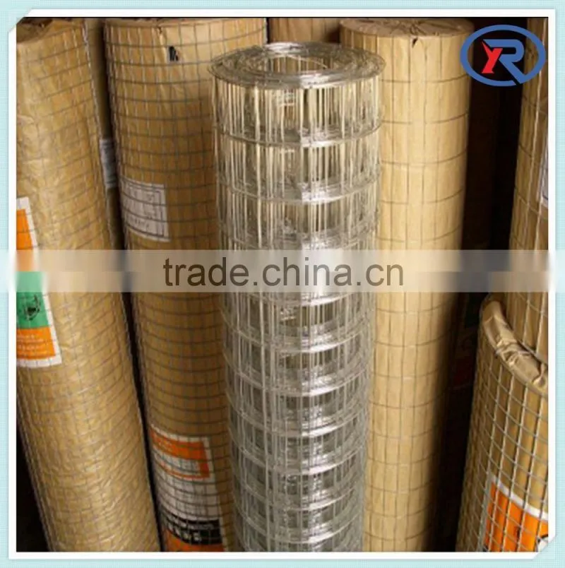 Hot sale 3/4"x3/4"welded wire mesh roll/panel for fence