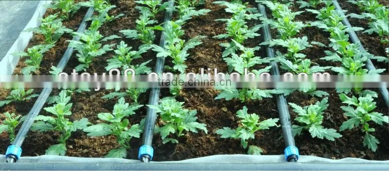 ppr water pipe 7 PN16 irrigation pp fitting, PP compression
