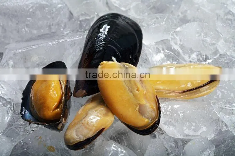 mussel meat frozen