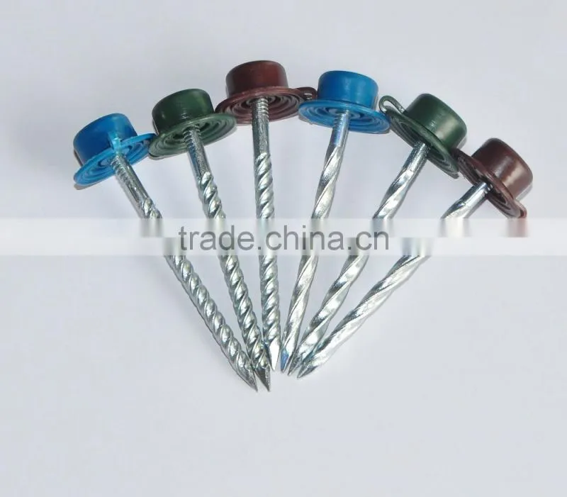 Twist shank roofing nails with plastic cap