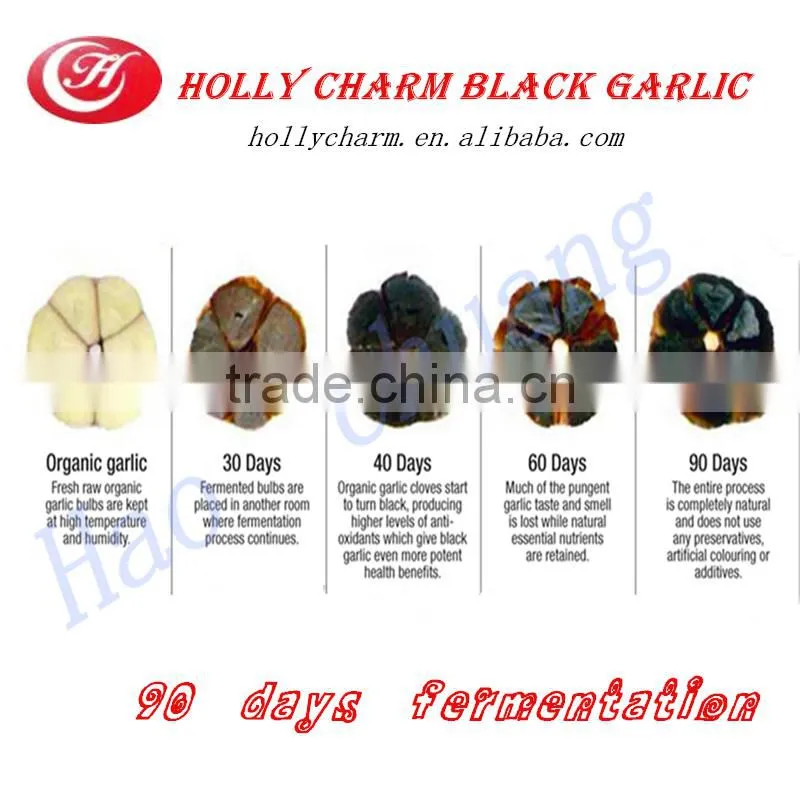 Manufacturer supply best price high quality solo black garlic