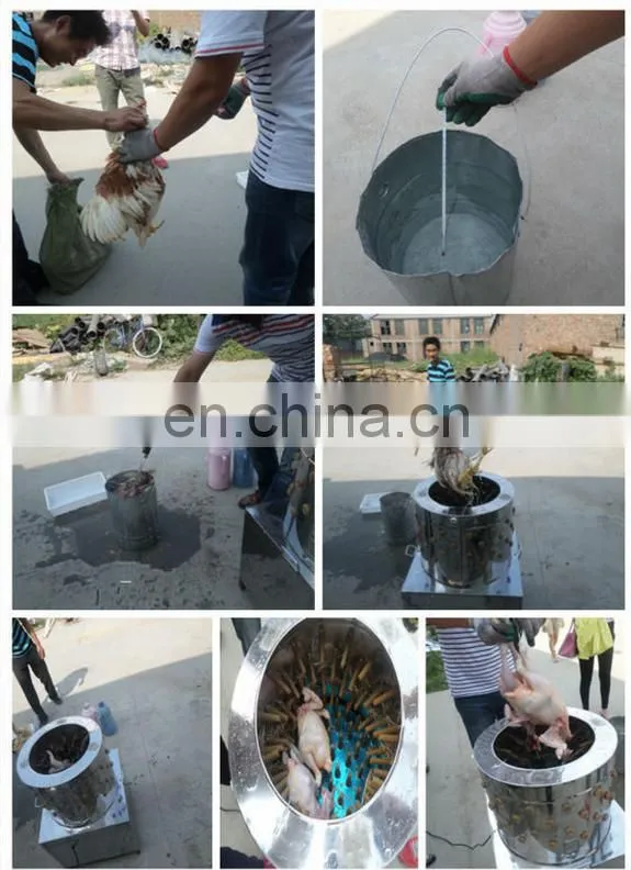 TM-50 Hot sale product poultry plucker/poultry feather plucking machine/chicken feather cleaning machine in hot selling
