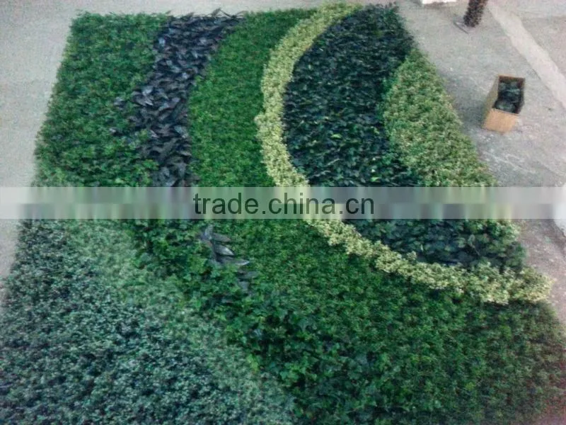 Garden green wall