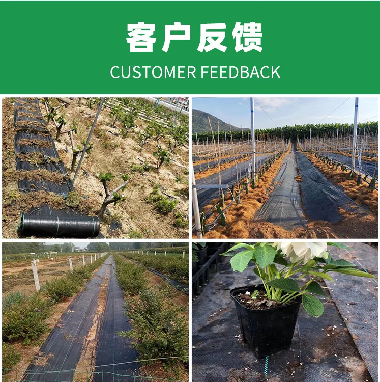 微信图片_20240325161640.png