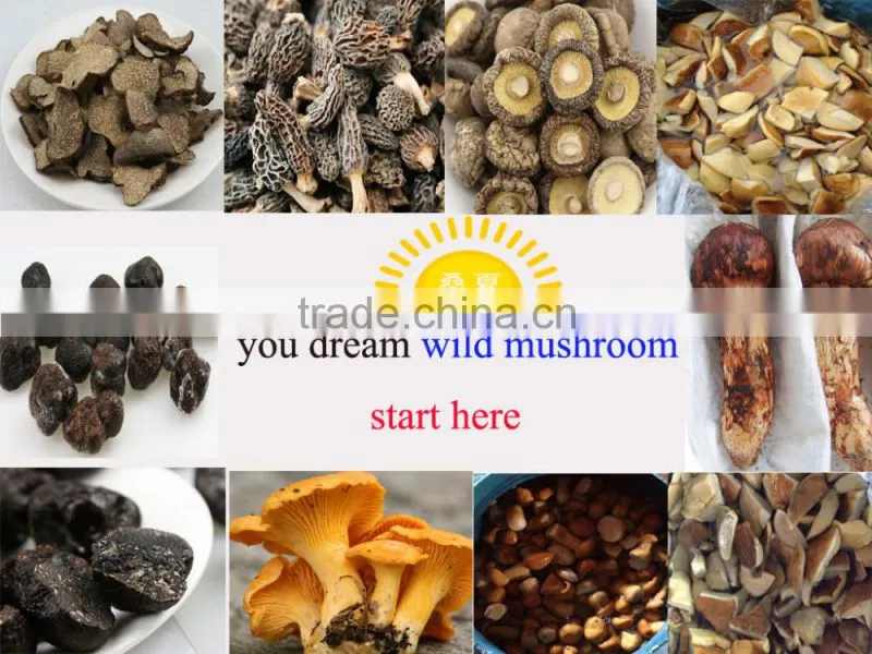 black truffles mushrooms price from yunnan