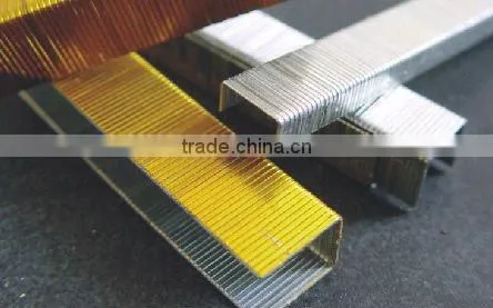 5000 staples 20GA