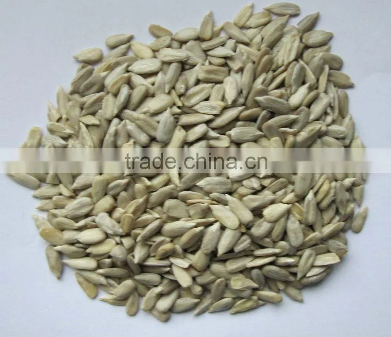 new sunflower seed kernel