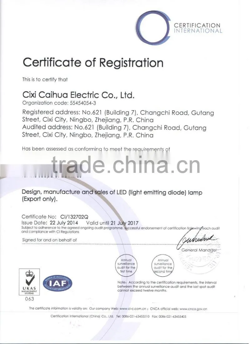 ce aluminum e27 220v 110v 15w 20w 24w optional cob spotlight led par38 with 100lm/w