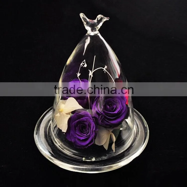decorative glass dome for wedding,mini dome cloches