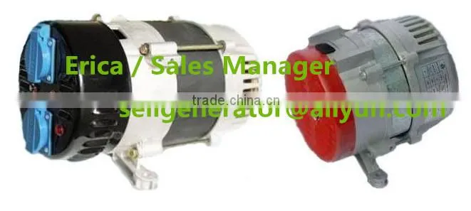 1kw-6kw mini dynamo generator