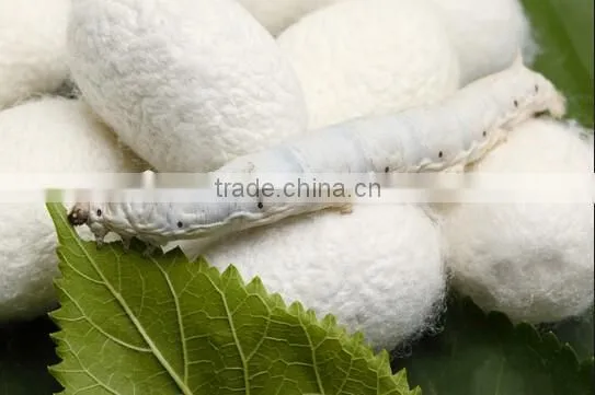 Luxurious Mulberry Silk Duvet