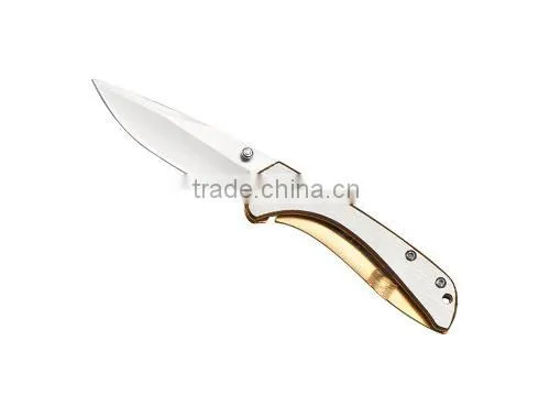 Satin Handle Stainless Steel Folding Knife