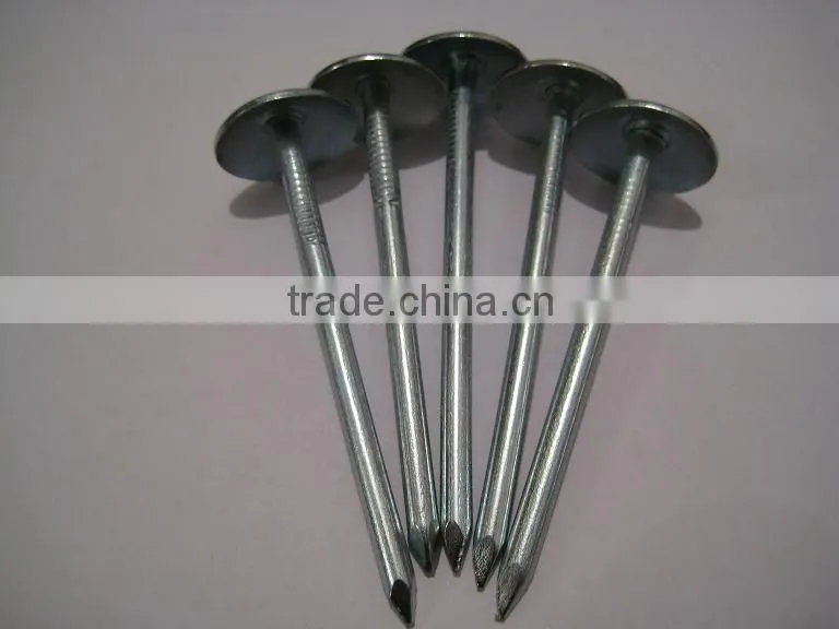 EG Roofing nails