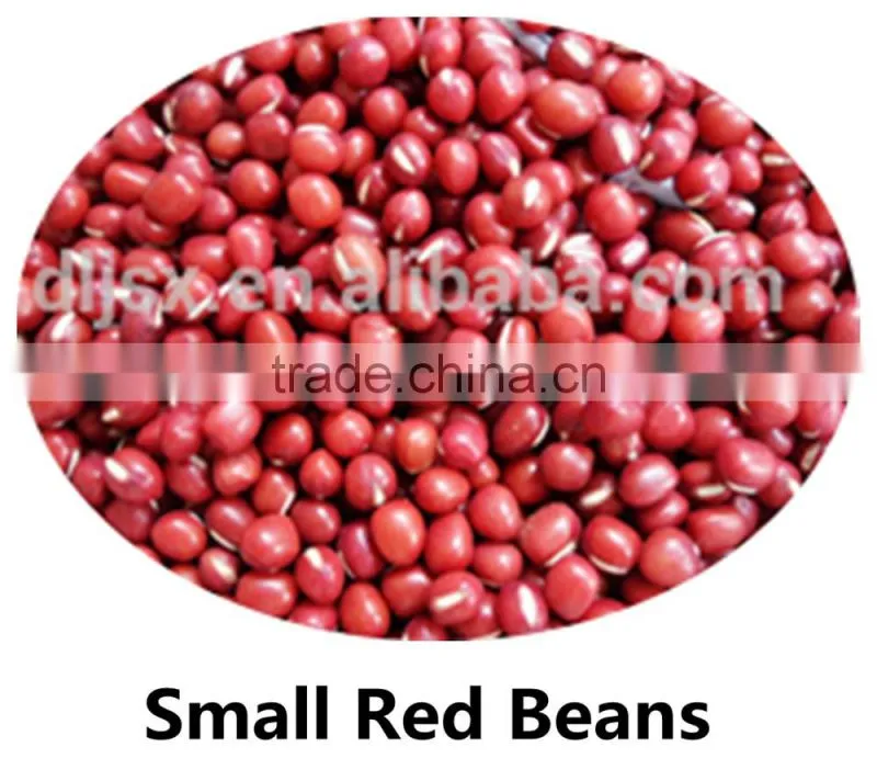 JSX cooking British red kidney bean round shape food grade red kidney bean