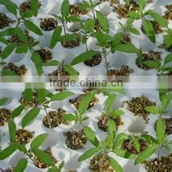 Expanded/Exfoliated Vermiculite For Horticulture and Agriculture Grade