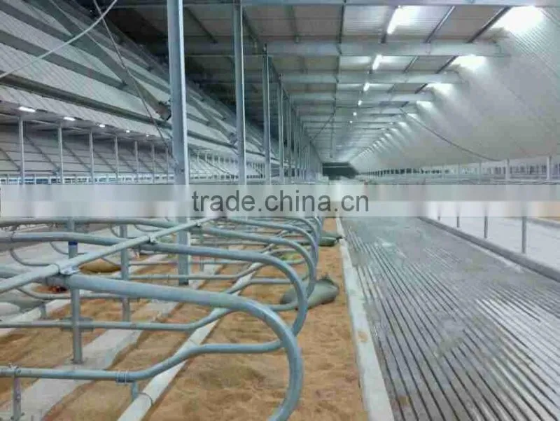 Cattle Farm Cattle Free Stall