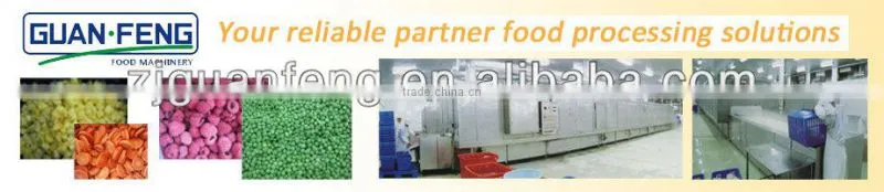 China Manufacturer iqf tunnel freezer refrigerator