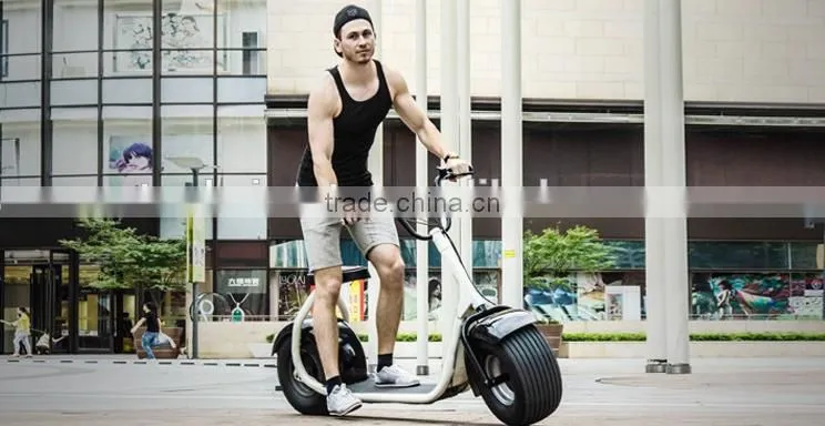 Fahshion 800W/1000W Brushless motor Adult Electric Scooter, 2 Wheels Electric scooter (TKE-S800)
