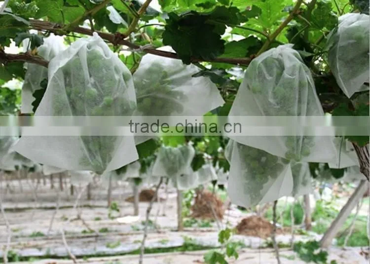 Alibaba Stock Agricultural Nonwoven Banana Fruit Cover Bags