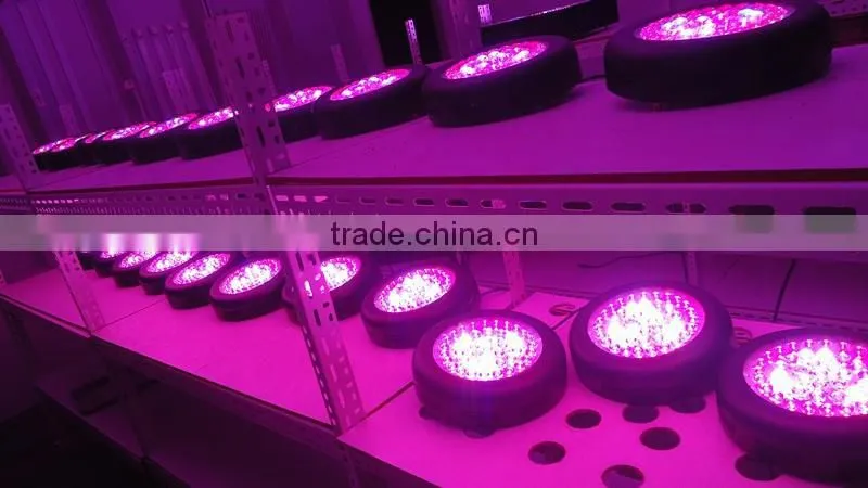 135w Led Grow Light 45x3W with optical lens,best for plants growth and flowering