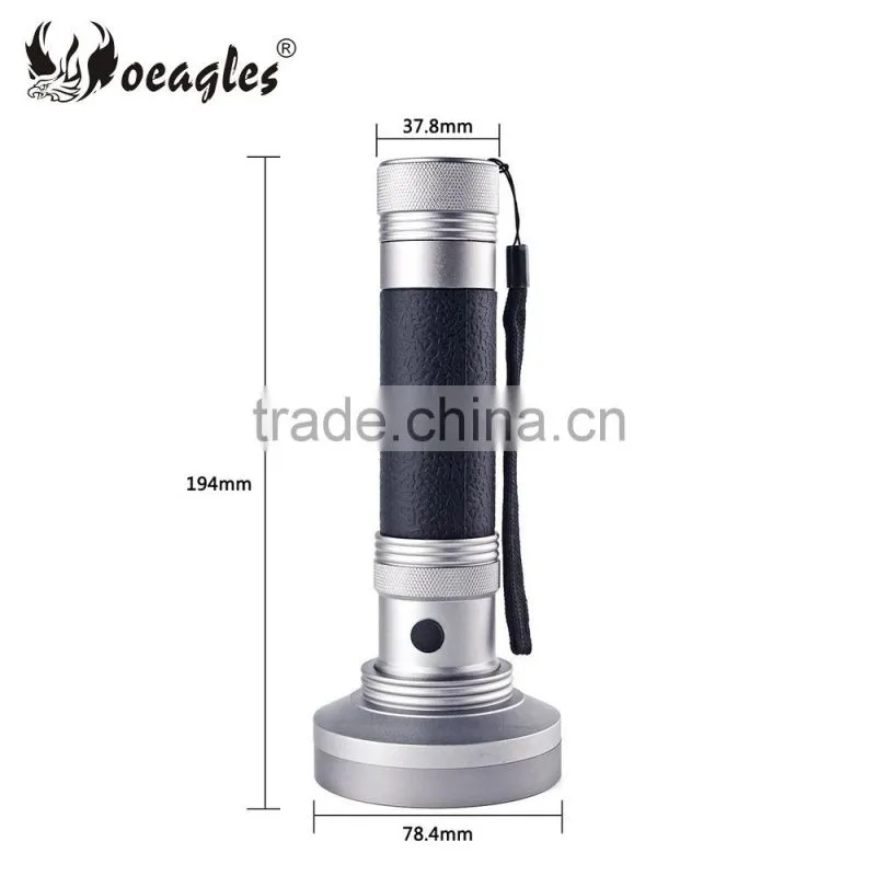 Wholesale 100 LED UV flashlight 5W High Power UV Black Light 395nm-400nm Purple uv Flashlight torch
