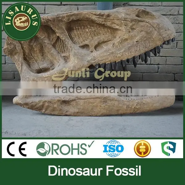 Lisaurus-G hot sell small size replica dinosaur fossil from China