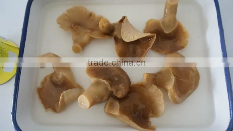 Canned abalone mushrooms slice for America