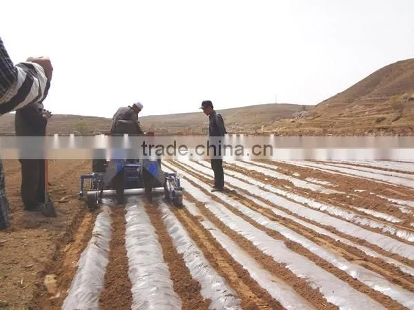 Mulch film for plant