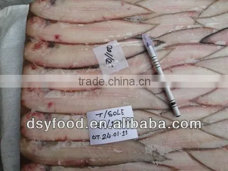 high quality frozen tongue sole fish