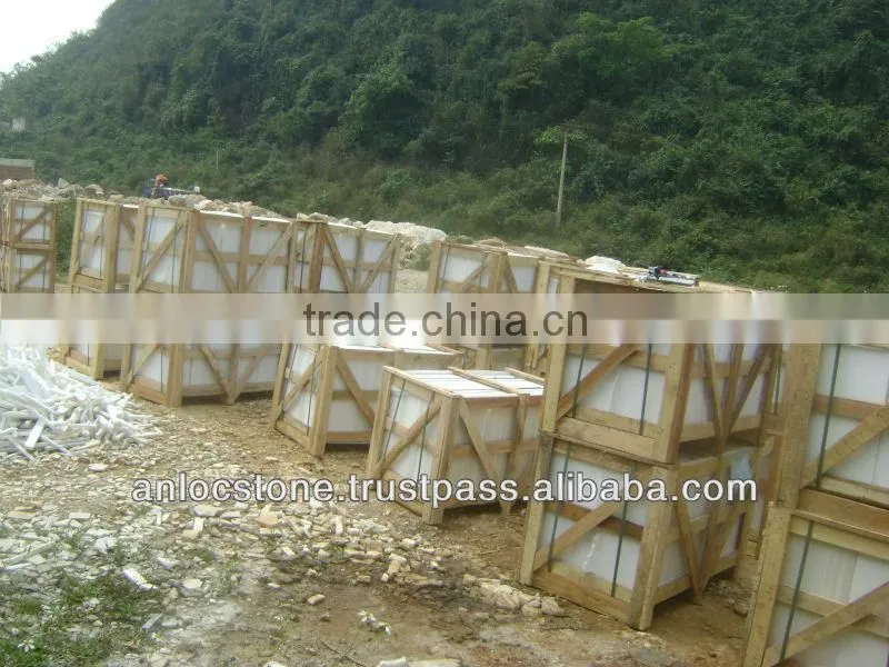 Vietnamese Marble tike